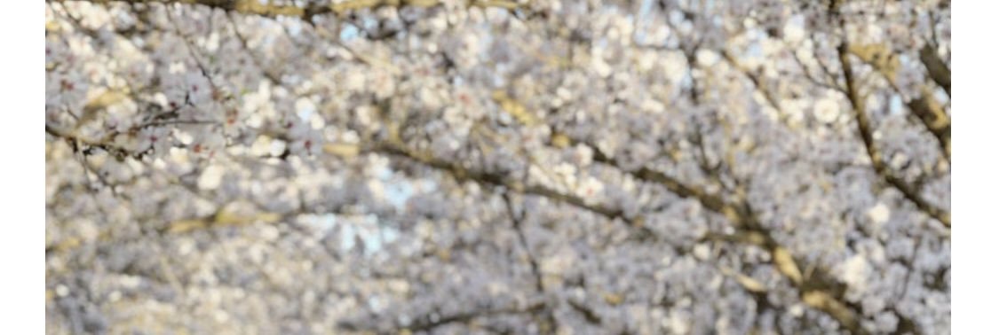 amyndoss's profile banner image