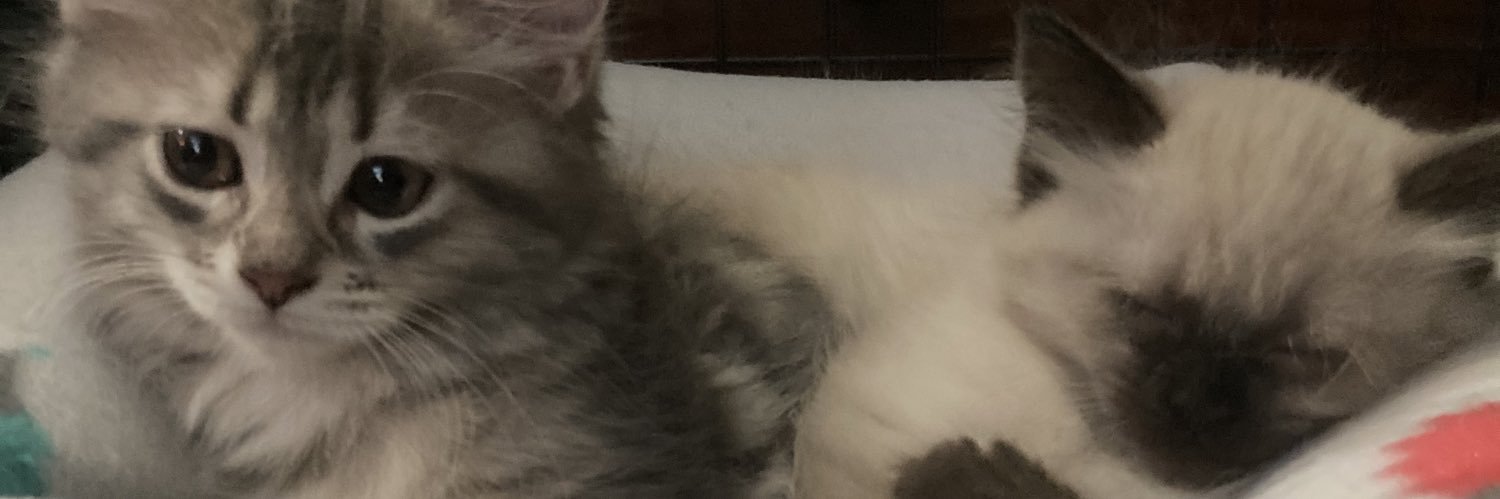 Diggvintage's profile banner image