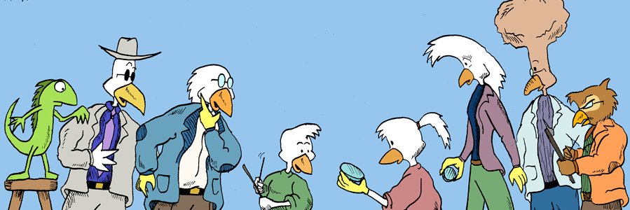 nevkatz's profile banner image