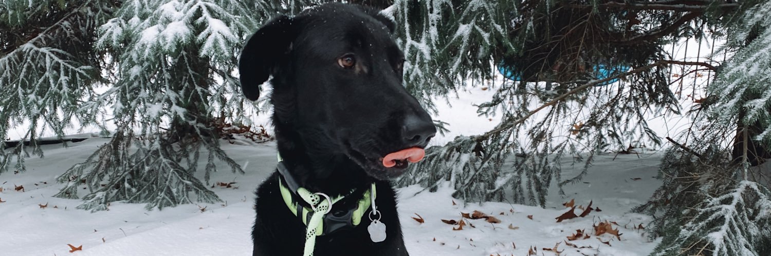 Cohzi_'s profile banner image
