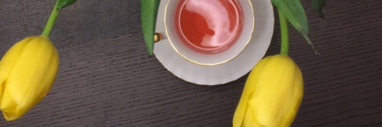 CandiThorpe's profile banner image