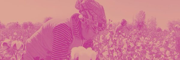 cottoncampaign Profile Banner