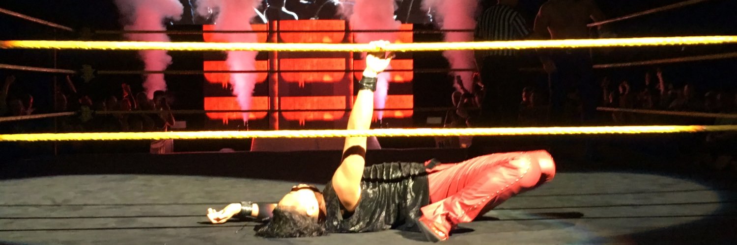 Pro Fights Info banner