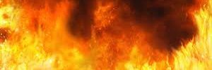 treestumb21's profile banner image