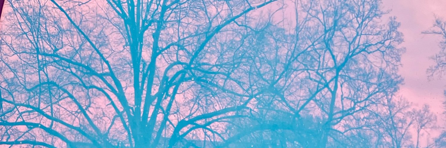 snow_stir's profile banner image