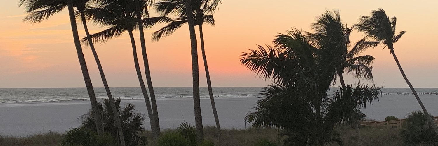 Lenny Tomanski banner