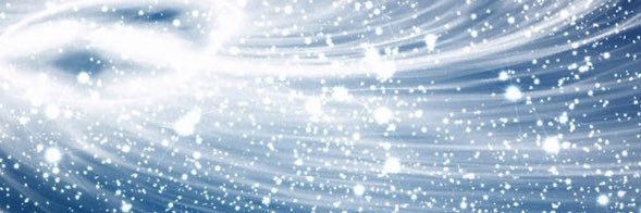 danielapaudice banner