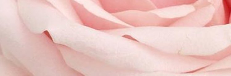Carmvirginia's profile banner image
