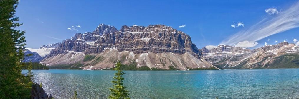 Steve Thompson banner