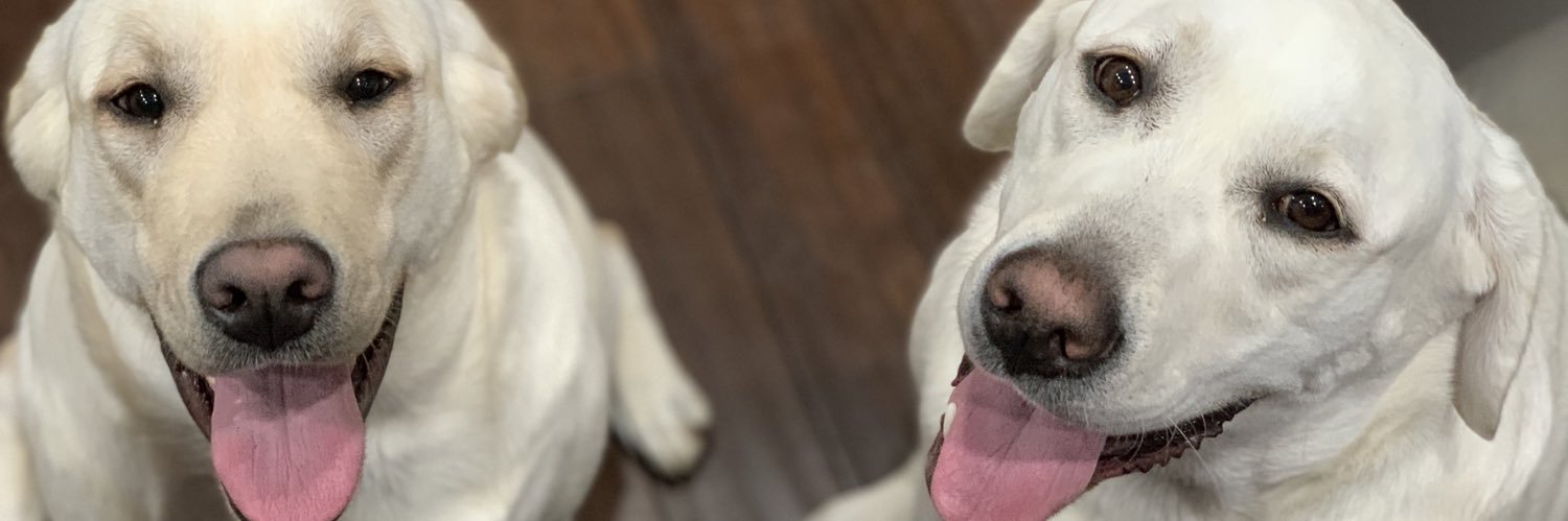 blakepopkess's profile banner image
