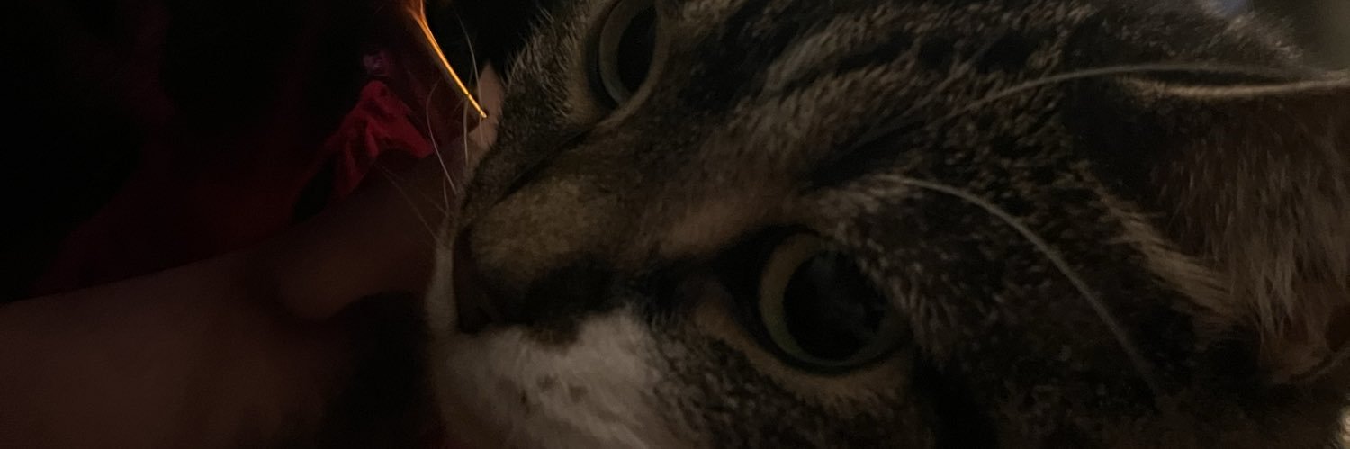 strawberrysochi's profile banner image