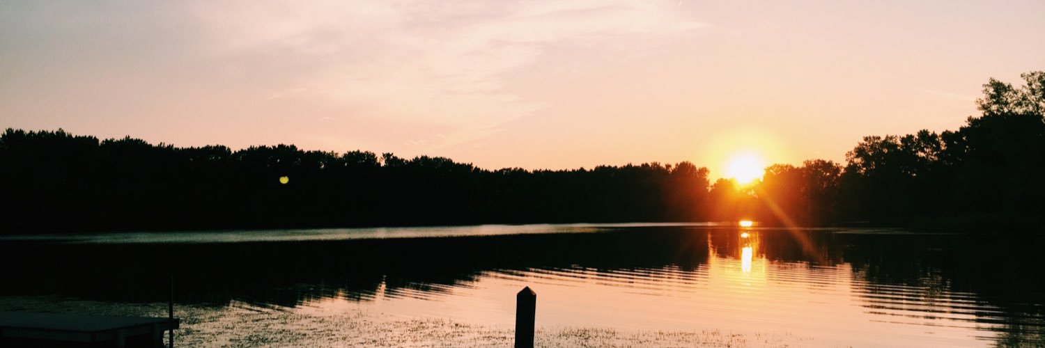 essooowild's profile banner image