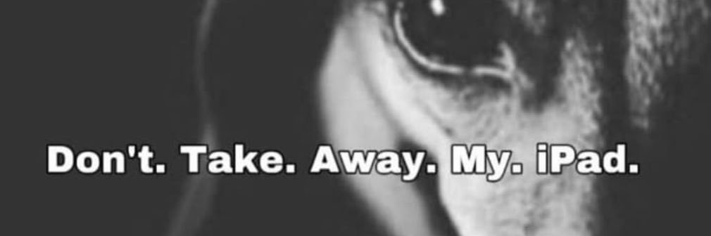 MaybeMads's profile banner image