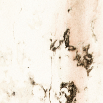 IAMISIGO banner