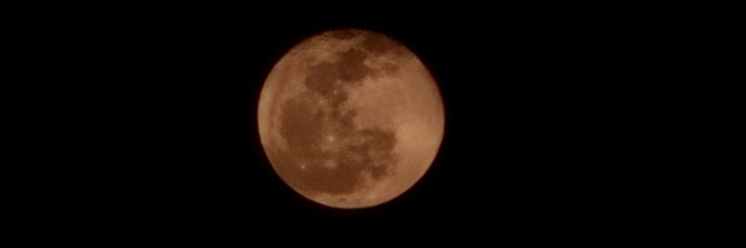yourrosethorns's profile banner image