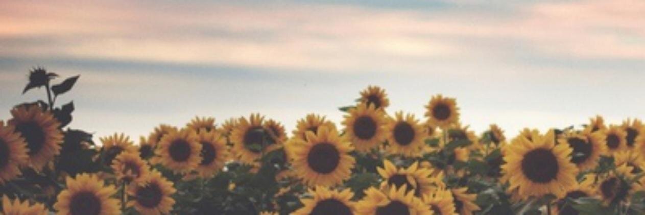 AdrianaPosan's profile banner image
