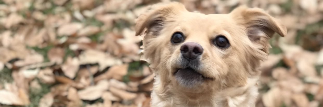 SamjPhilly's profile banner image