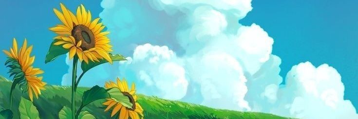 Cooralll's profile banner image
