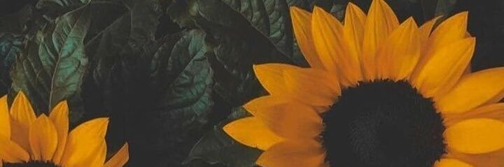 NEWBABIILOND banner