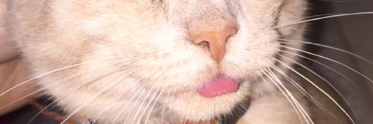 kayliemil's profile banner image