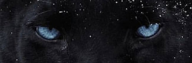 Marwan_Elbadry's profile banner image
