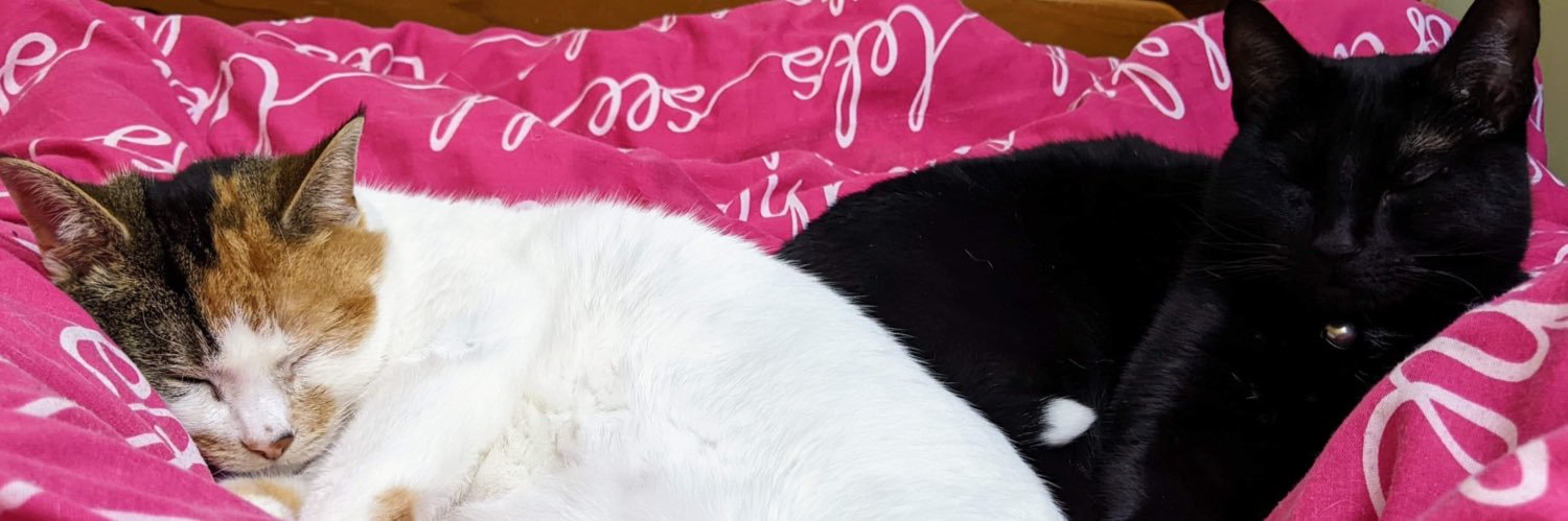 picklechu22's profile banner image