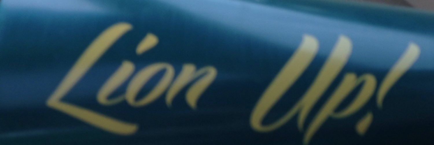 lahdoc's profile banner image