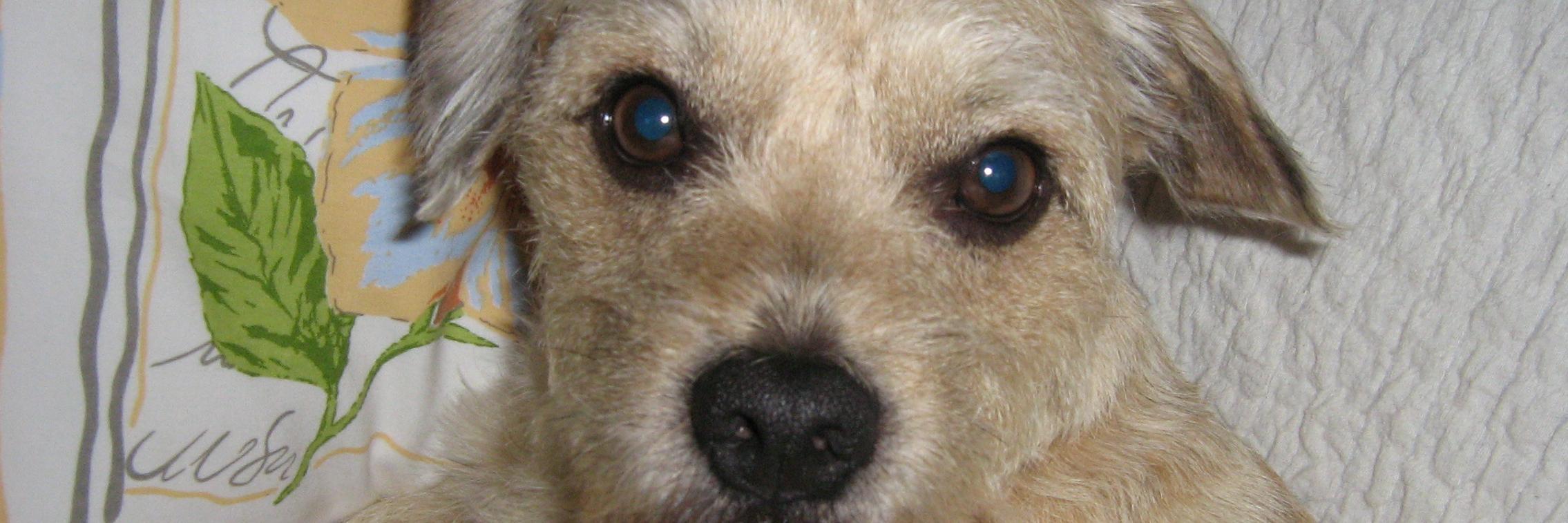 MicSchnabel's profile banner image