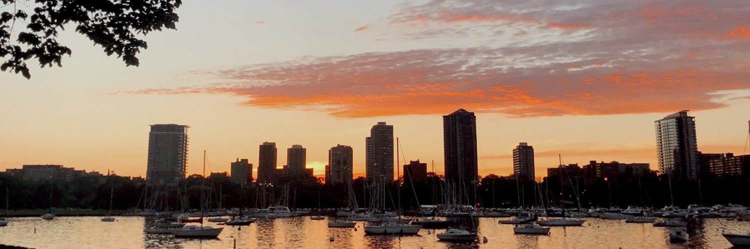 Megan Walstad banner