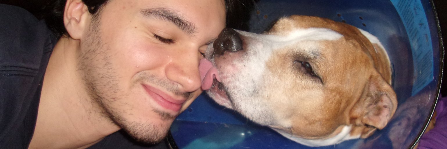 devdog712's profile banner image