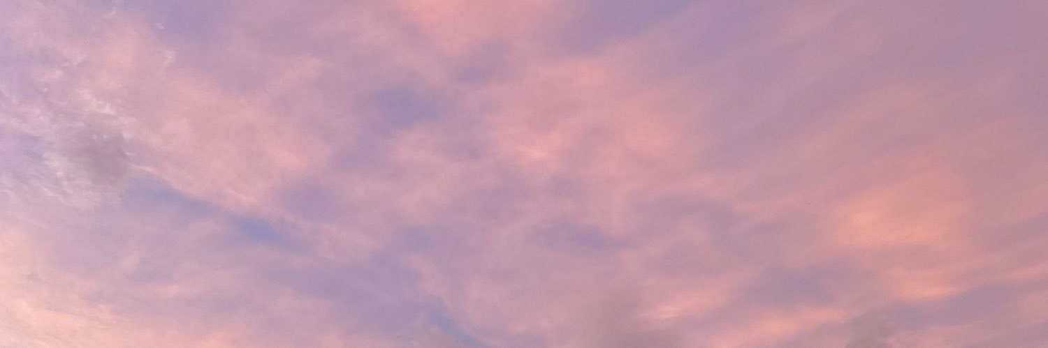 LizzetteFelix's profile banner image