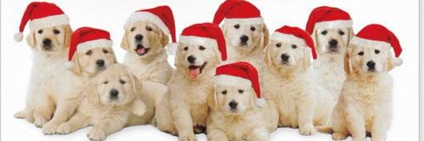 PowderCoatingOL Profile Banner