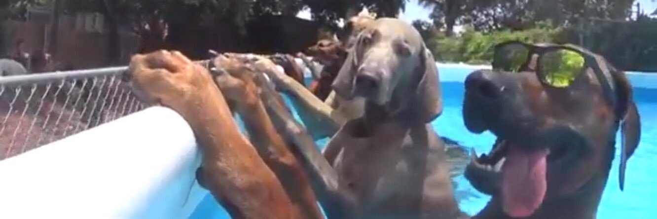 XxCT_$C4NxX Ⓜ️ banner