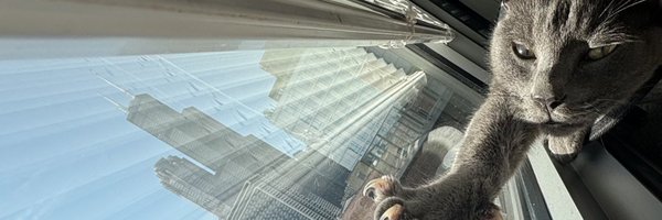 ChaDotWho Profile Banner