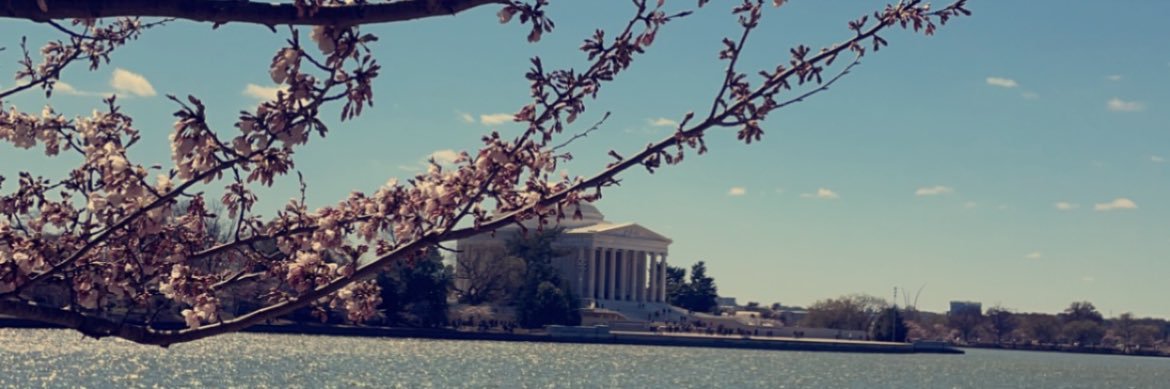 Jaybroii's profile banner image