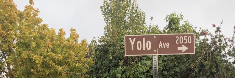 ben lol banner