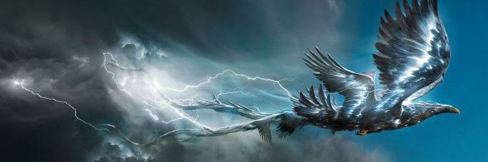 𝑭𝒍𝒊𝒈𝒉𝒕𝒍𝒆𝒔𝒔 𝑩𝒊𝒓𝒅.'s banner