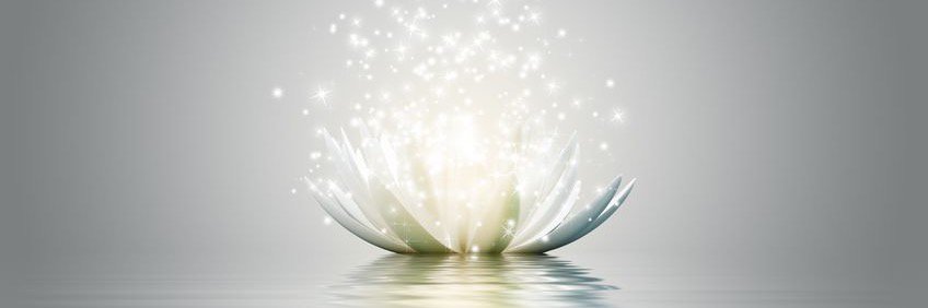 Stephanie_Chi's profile banner image