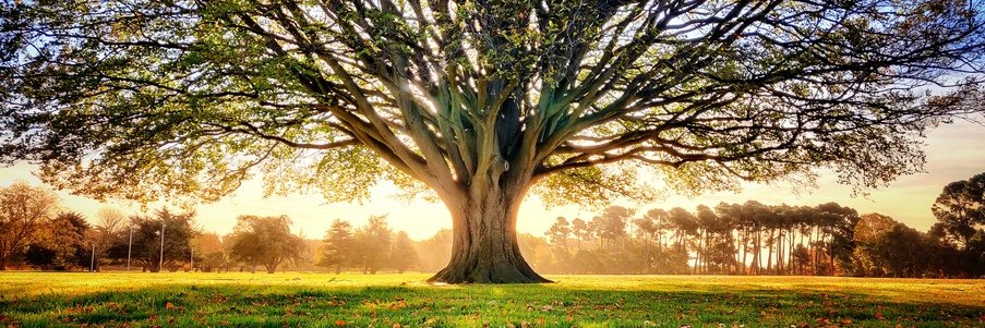chamilad's profile banner image