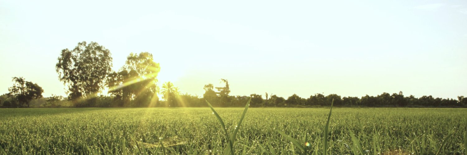 Brita Rosenheim banner