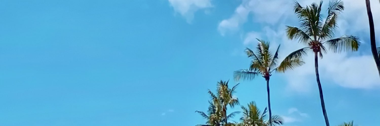 anamardine's profile banner image