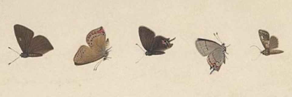 gbaaaabyy's profile banner image