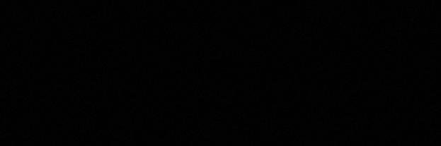 Paulina Rocha banner