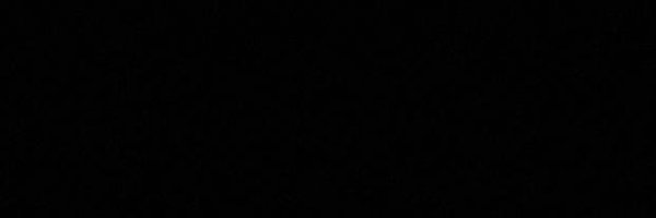 polyrocha Profile Banner