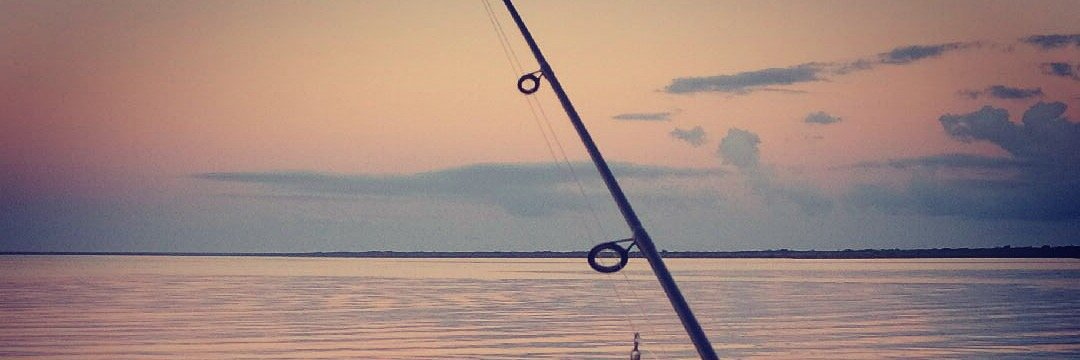ldeleza's profile banner image