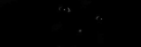 opatinho_Jr's profile banner image
