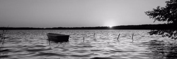 sunshine 🥰 banner