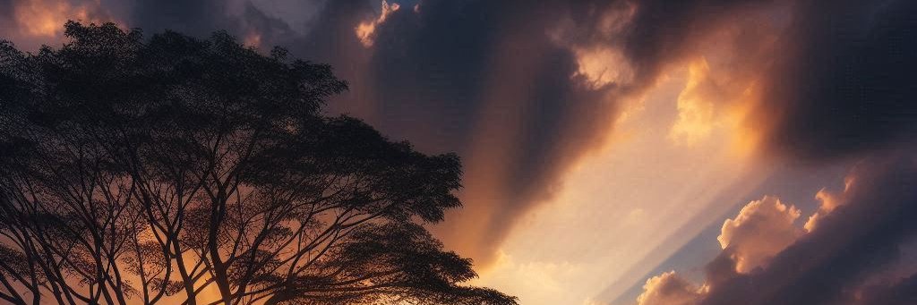 danalgowars's profile banner image