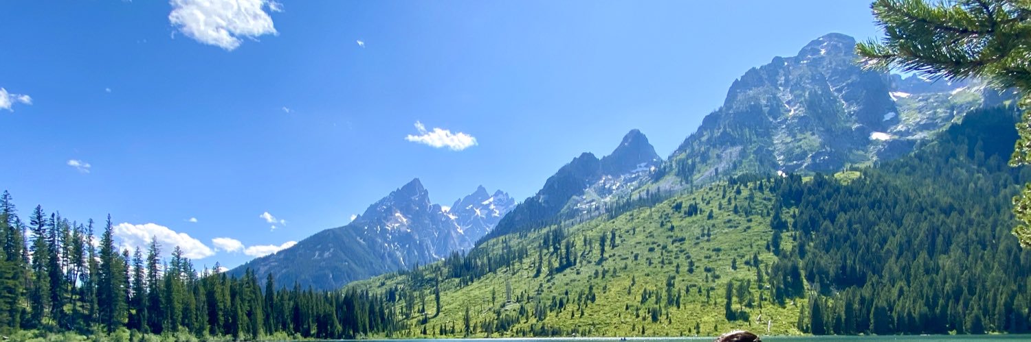 ali_lovin's profile banner image