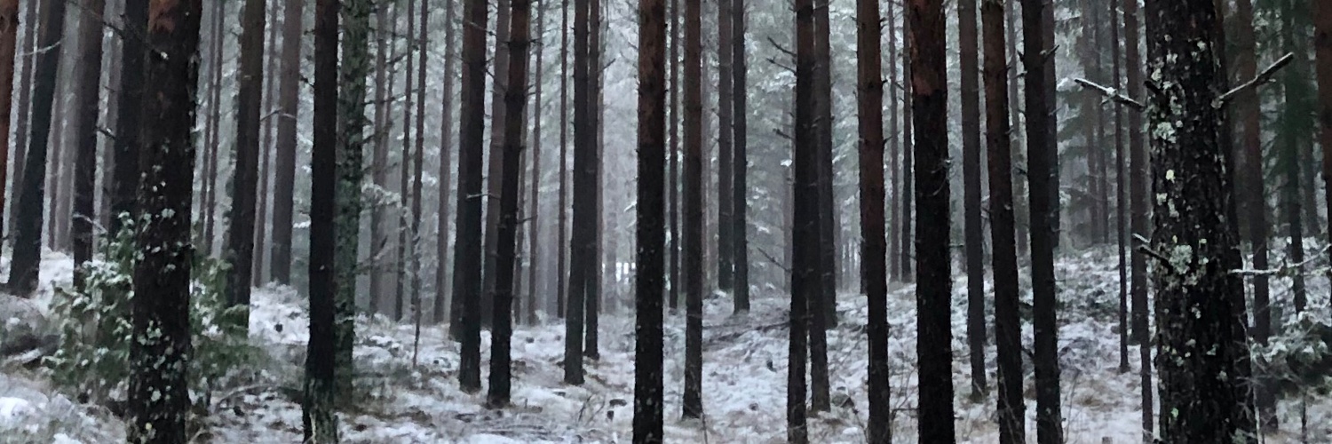 Pia Siljander banner